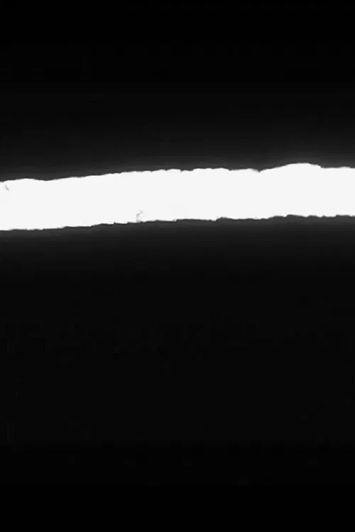 Cross Section #2 poster