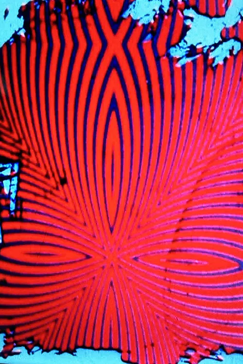 Dismal Universal Hiss poster