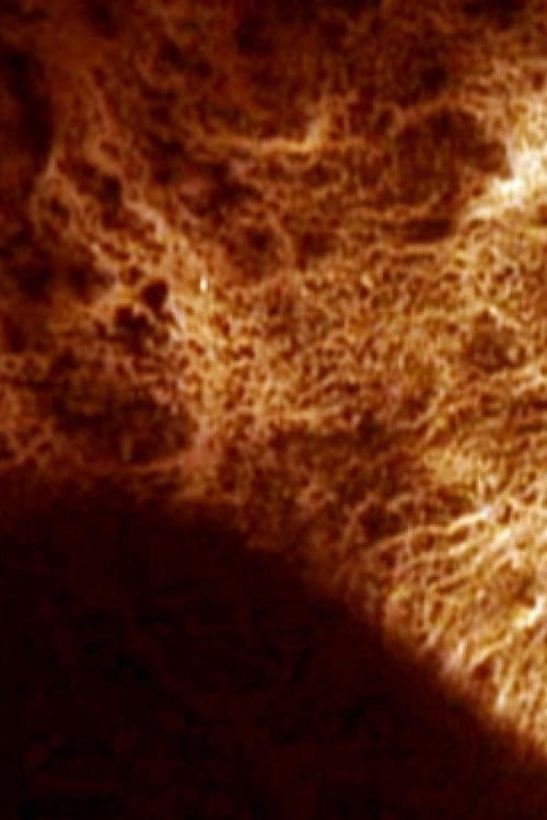 Trash and No Star! poster