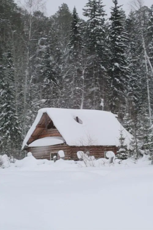 Ivan's Ladder poster