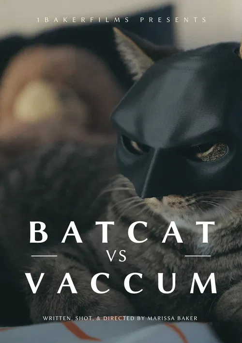 BatCat vs Vacuum poster