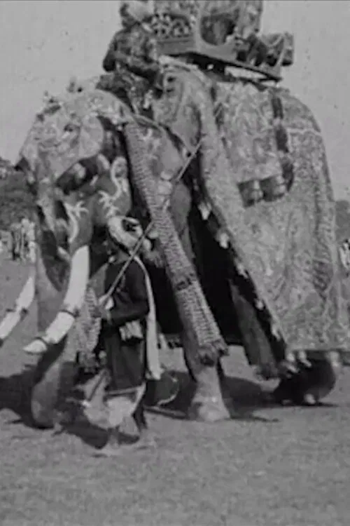 Calcutta Pageant poster