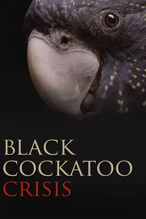 Black Cockatoo Crisis poster