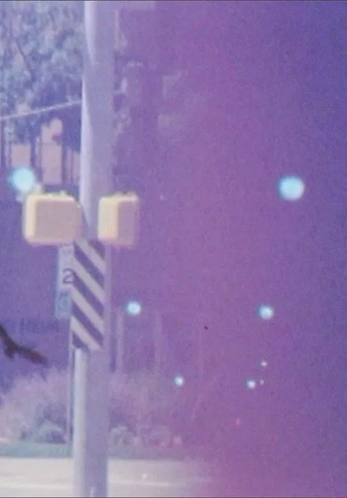 Diario colorado poster