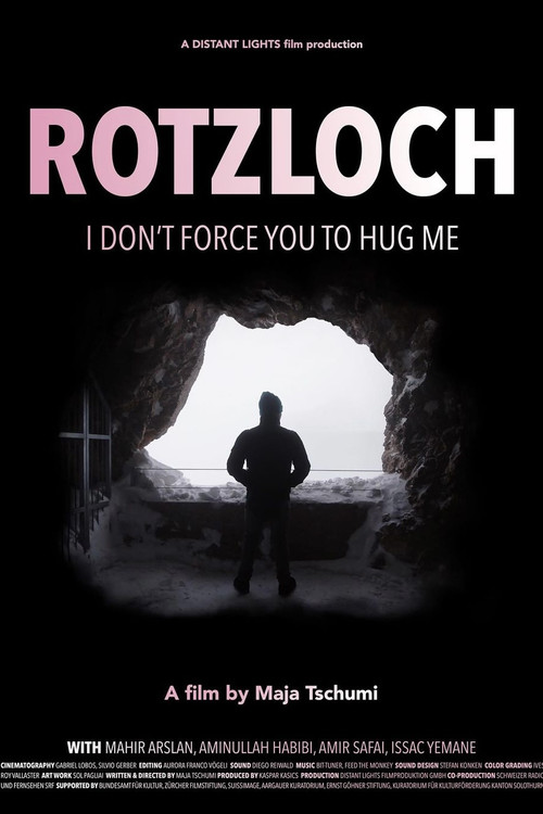 Rotzloch poster