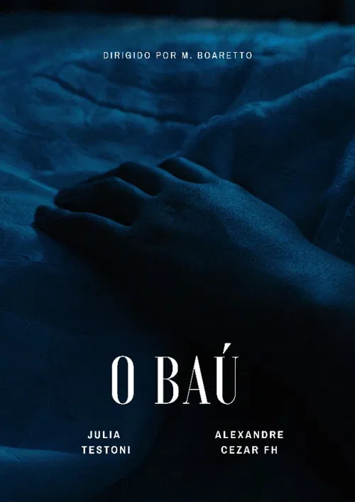 O Baú poster