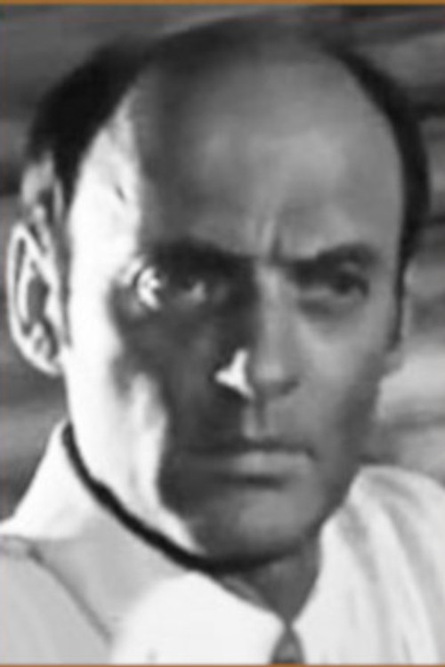 Alexander Bryman profile