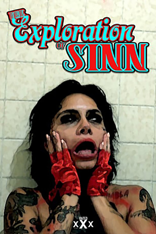 The Exploration of Sinn poster