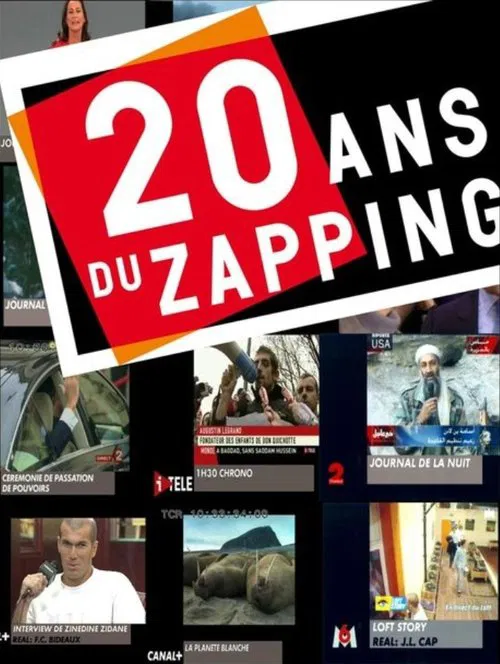 Les 20 ans du Zapping : 1989-2009 poster