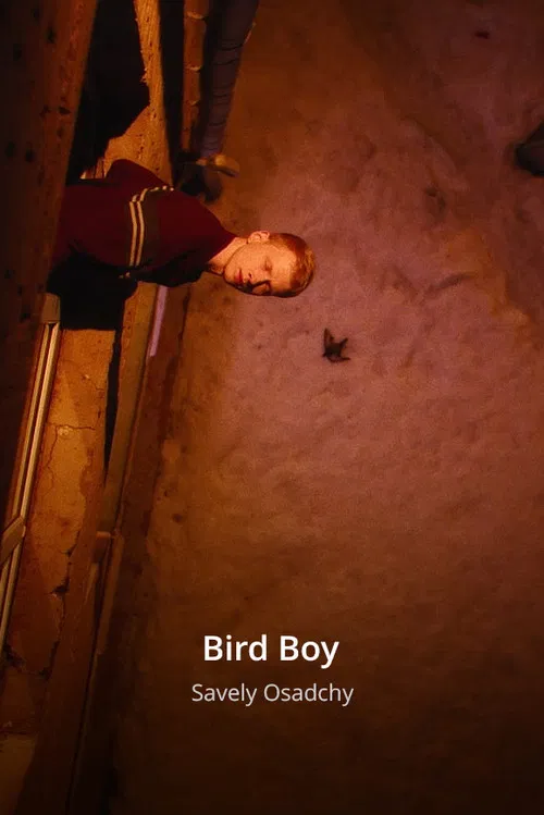 Bird Boy poster