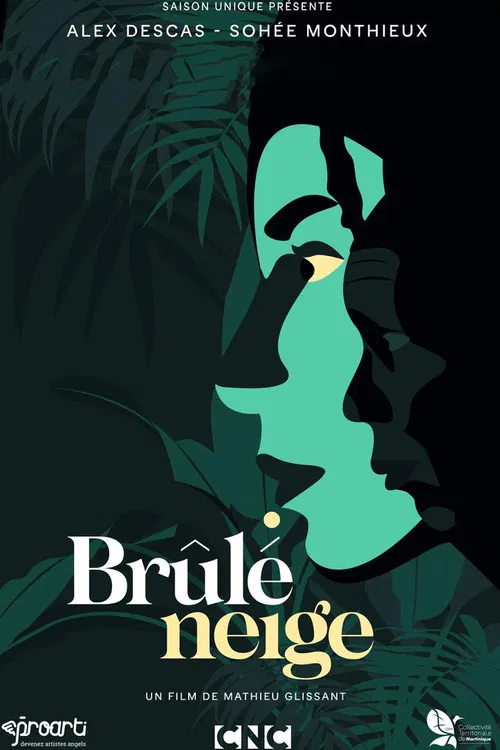 Brûlé neige poster