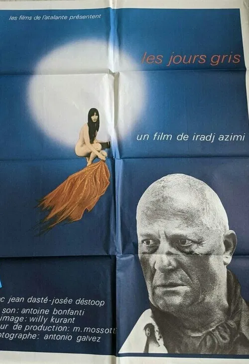 Les jours gris poster