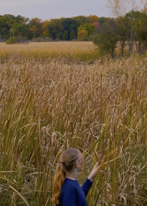 Wheat and Chaff poster