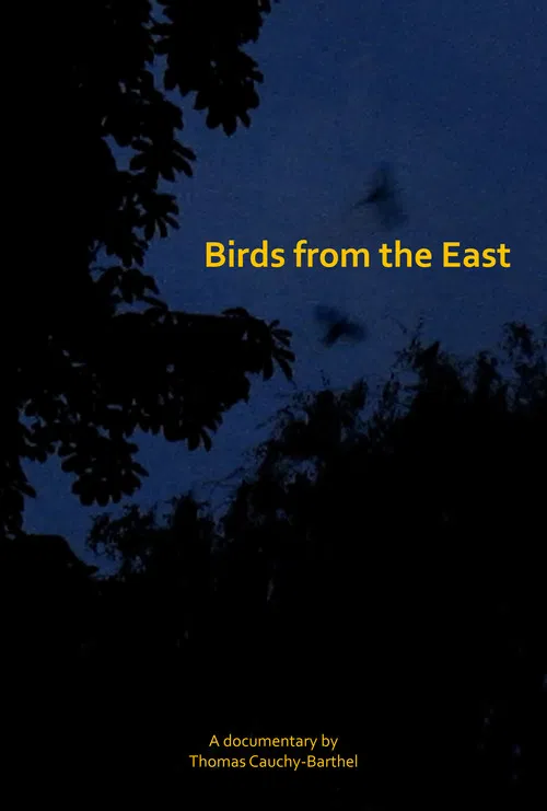 Les oiseaux de l'Est poster