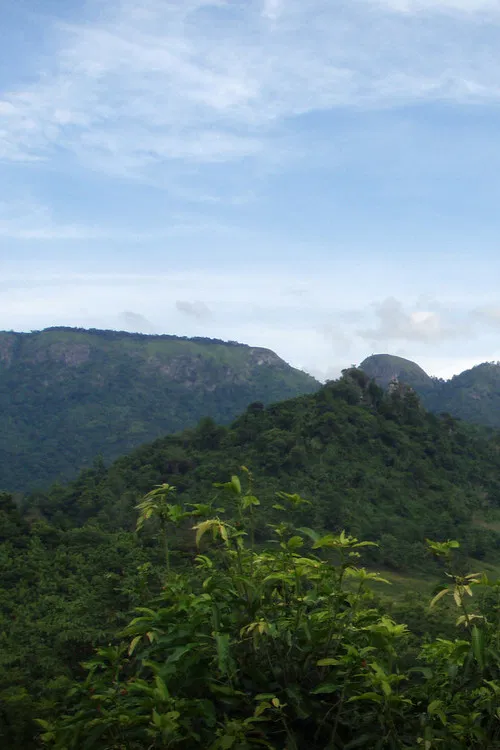 The Headman and I poster