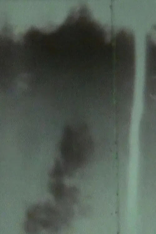 Mountain Home poster