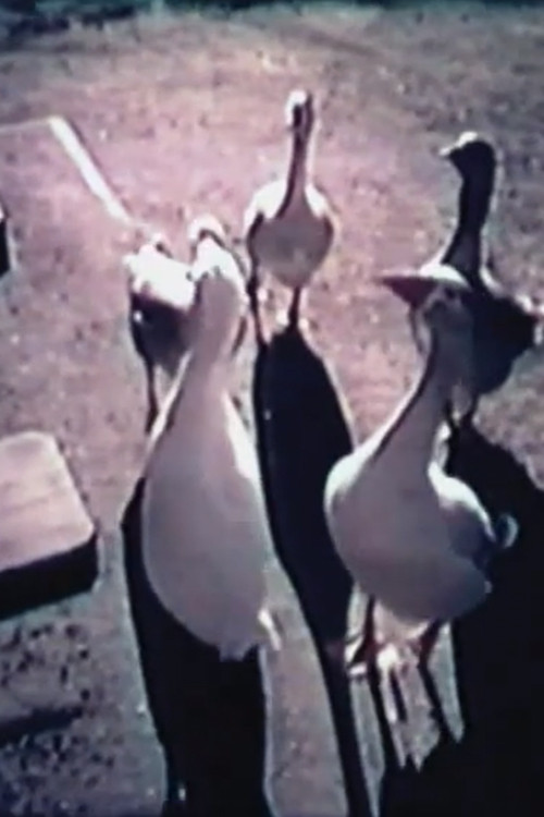 Music Of Your Own poster