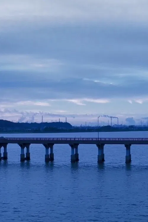 Black and Blue poster