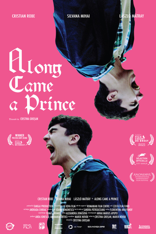 Along Came a Prince poster