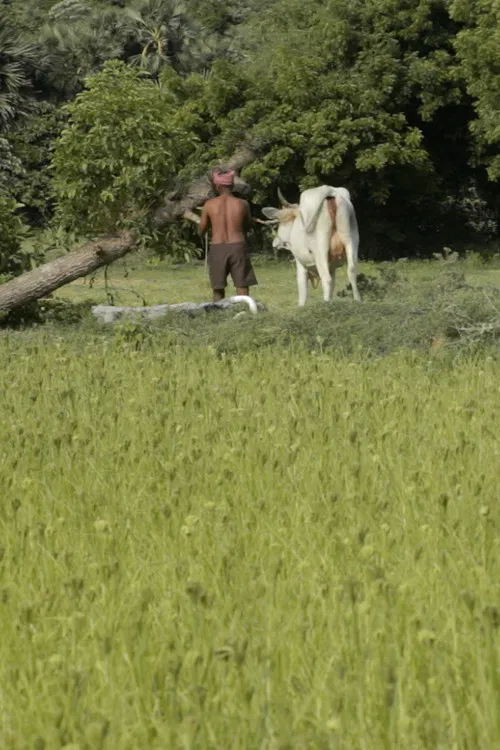 Where I Can’t Be Found poster