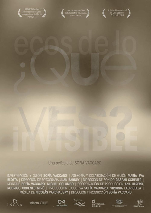 ¿Qué ves? Ecos de lo invisible poster