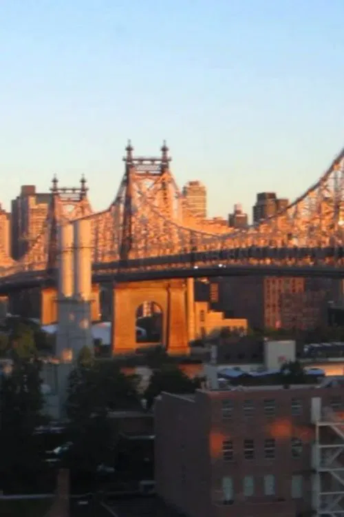 Light and the City poster