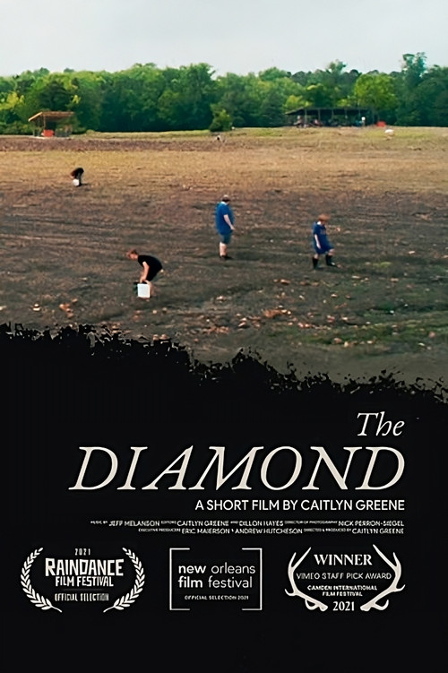 The Diamond poster