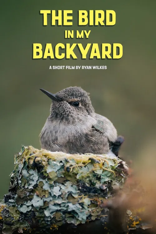 The Bird in My Backyard poster