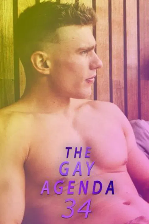 The Gay Agenda 34 poster