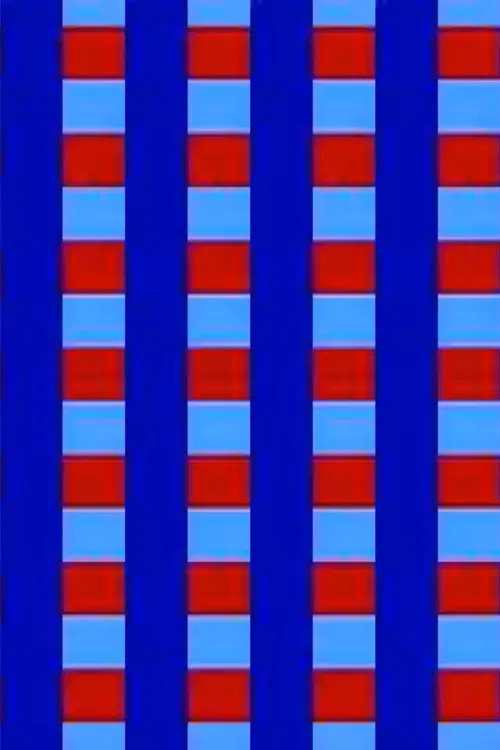 Video Ravingz poster