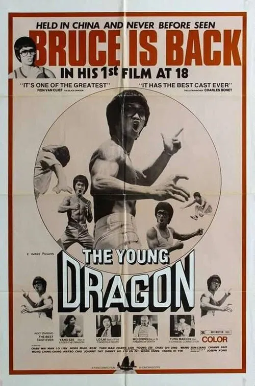 Young Dragon poster