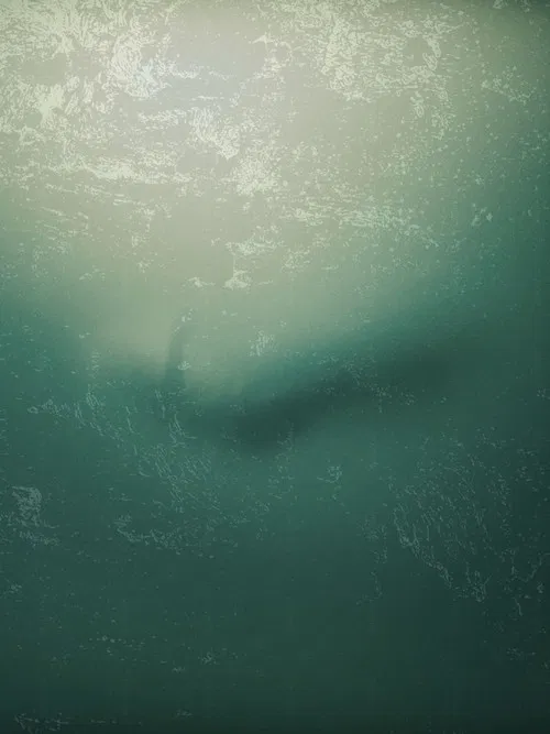 I Don't Want to Walk Alone poster