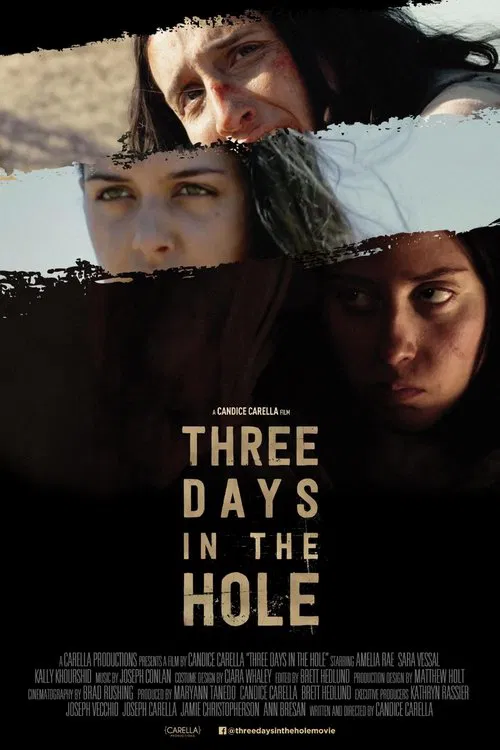 Three days in the hole poster