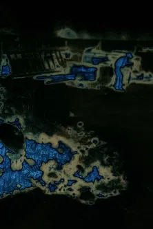 Strawberries in the Summertime poster