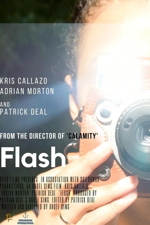 Flash poster