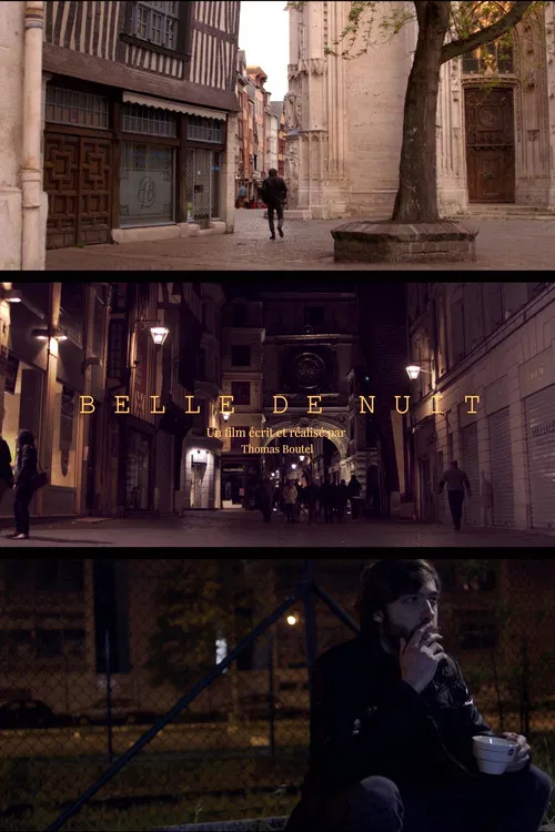 Belle de nuit poster