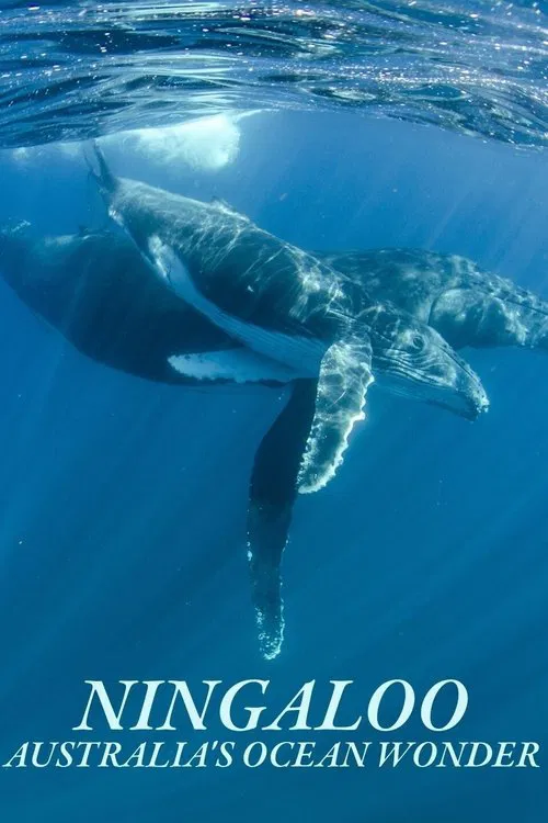 Ningaloo Nyinggulu poster