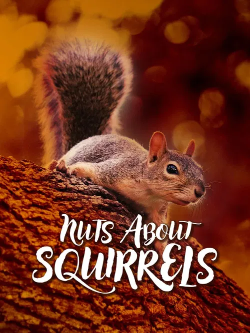 Nuts About Squirrels poster