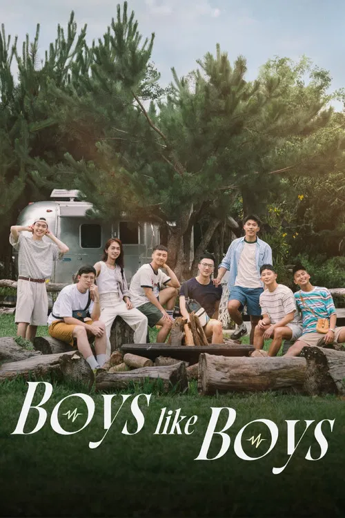 Boys Like Boys poster