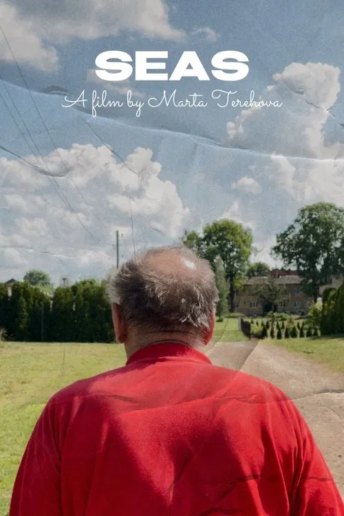 Seas poster