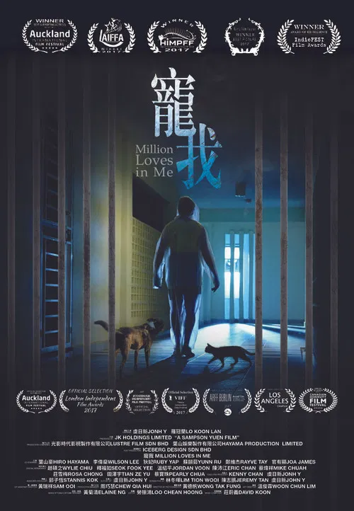 Million Loves in Me poster