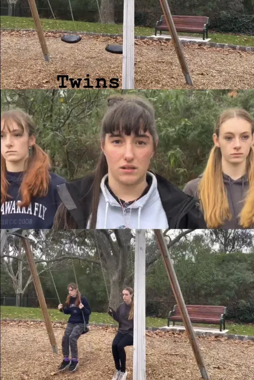 Twins poster