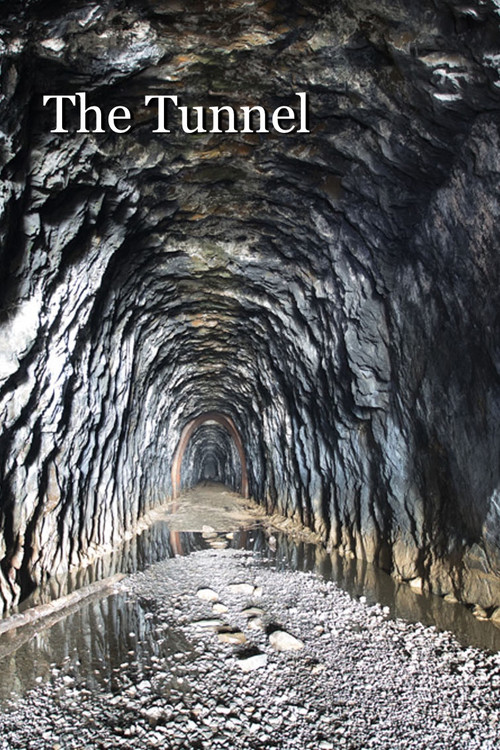 The Tunnel poster