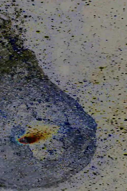 Water Balloon poster