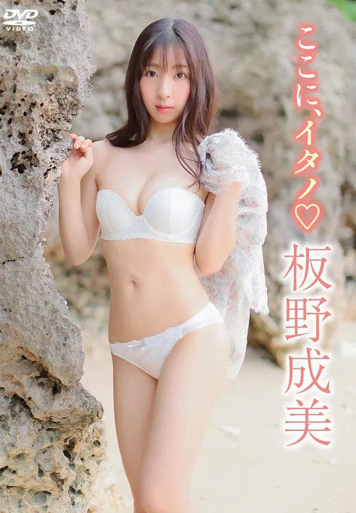 板野成美 / ここにイタノ poster