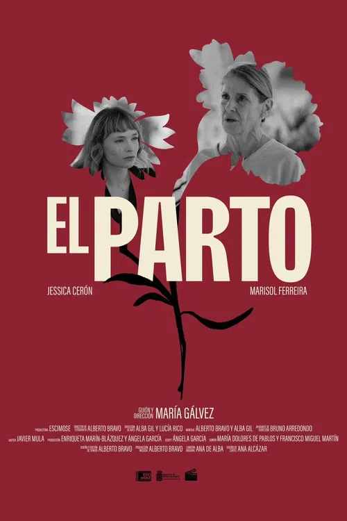 El Parto poster
