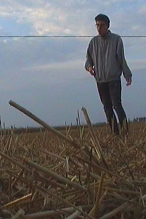 The Roots Of The Horizon poster