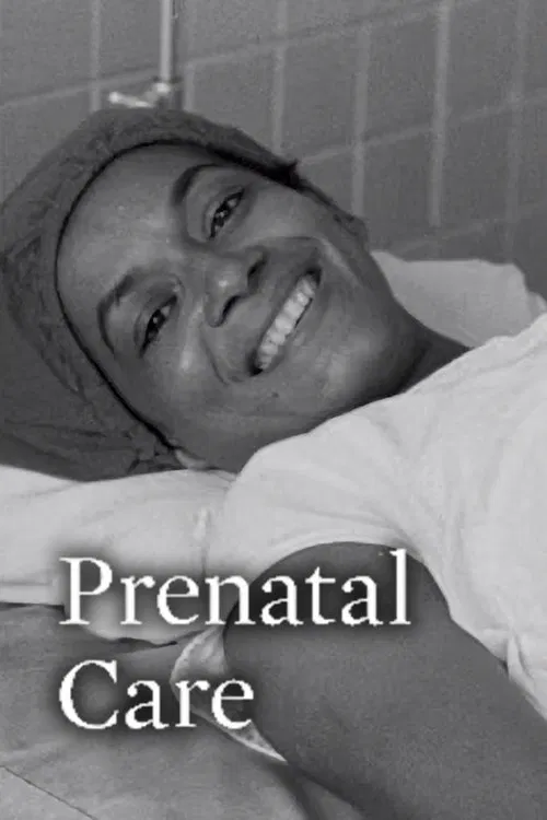 Prenatal Care poster