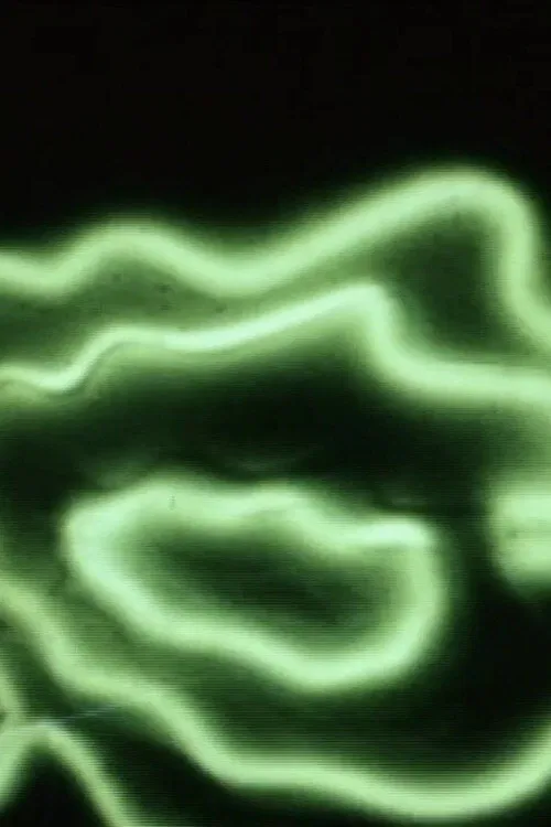 Naturale Artificiale (La Rosa) poster