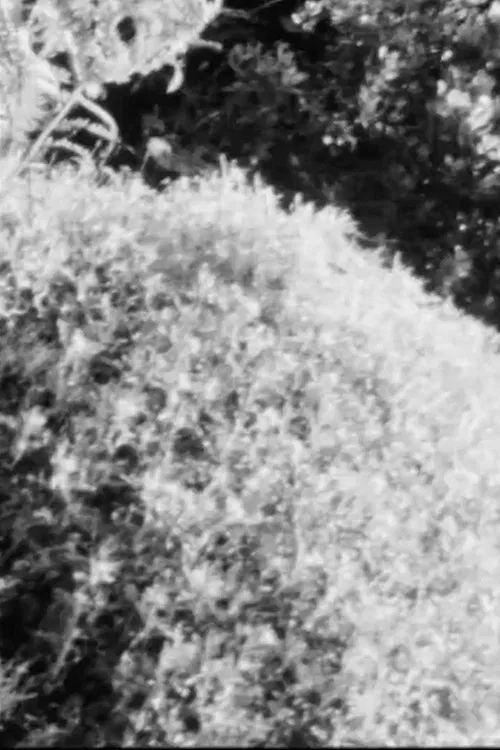 Sketch Film #5 poster